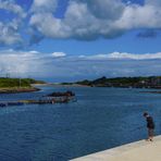 [ Hayle Harbour 2 ]