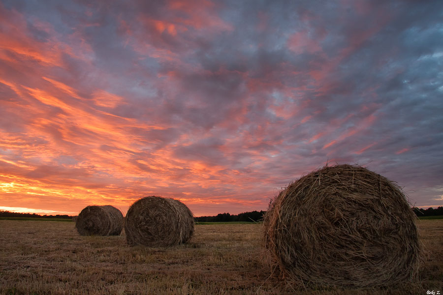 haymaking time