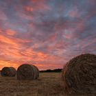 haymaking time