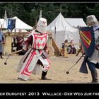 Hayner Burgfest 2013 1