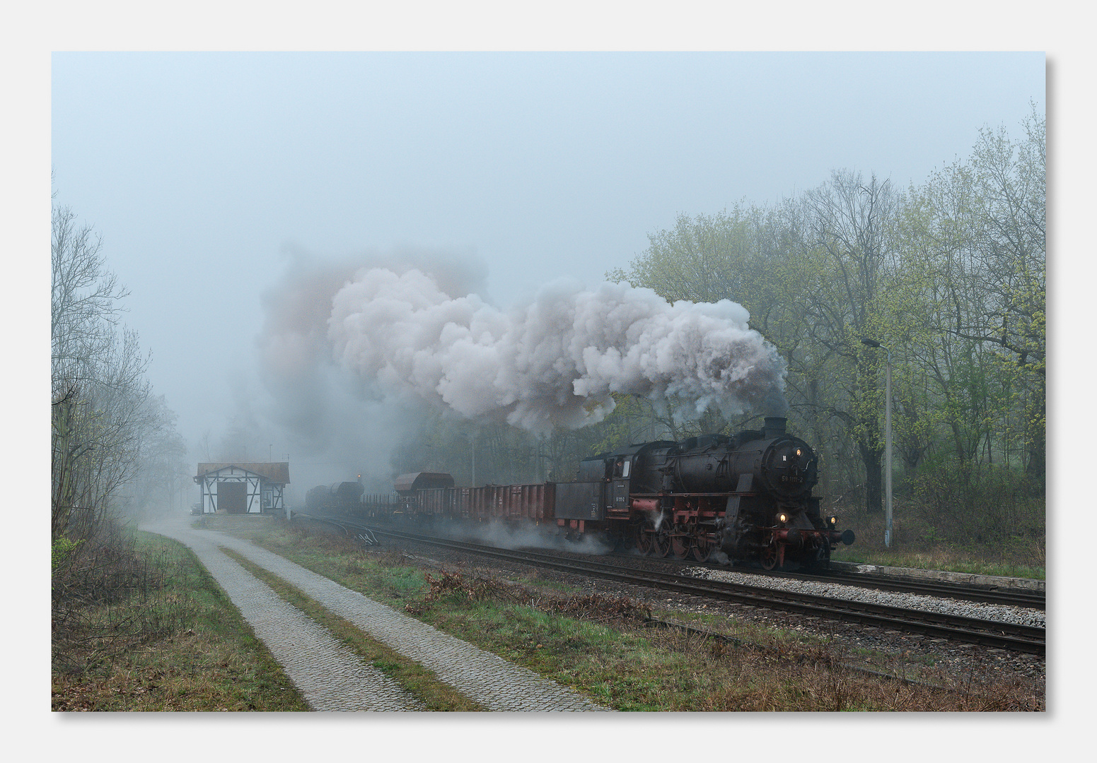 Haynsburg im morgentlichen Nebel