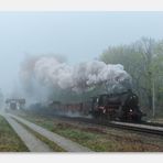 Haynsburg im morgentlichen Nebel