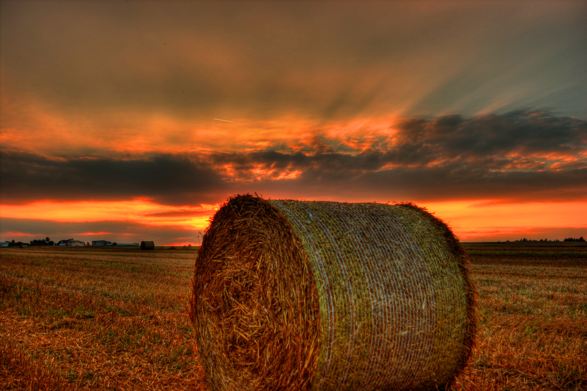 hayride