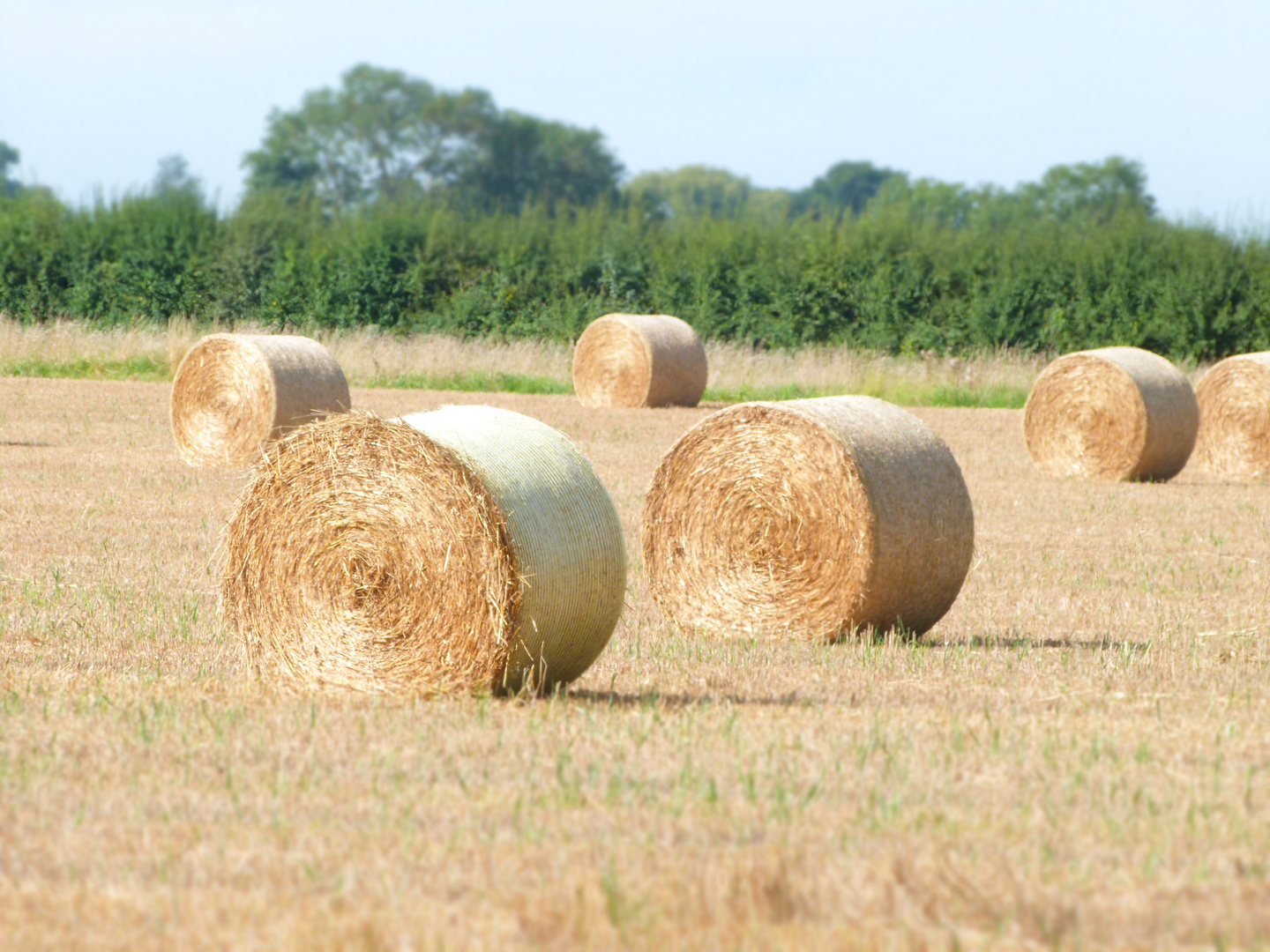 Haystack