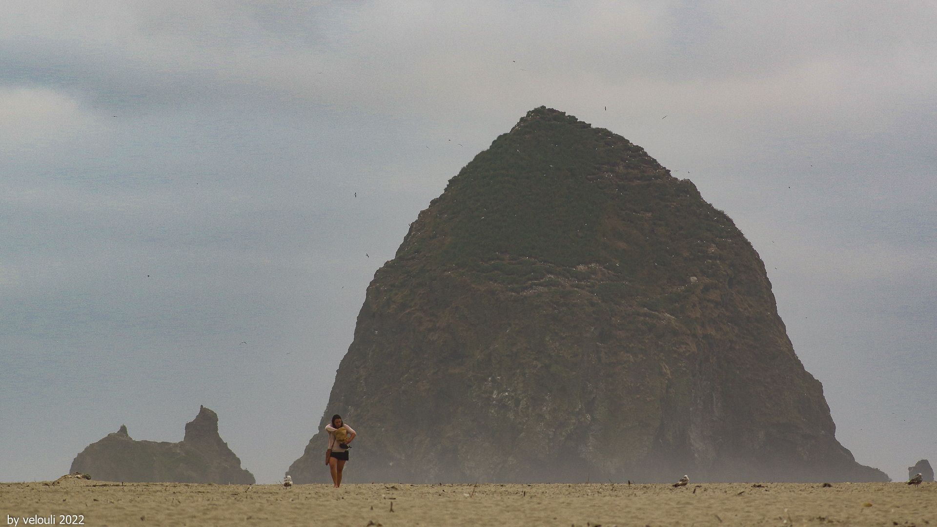 Haystack Rock 2