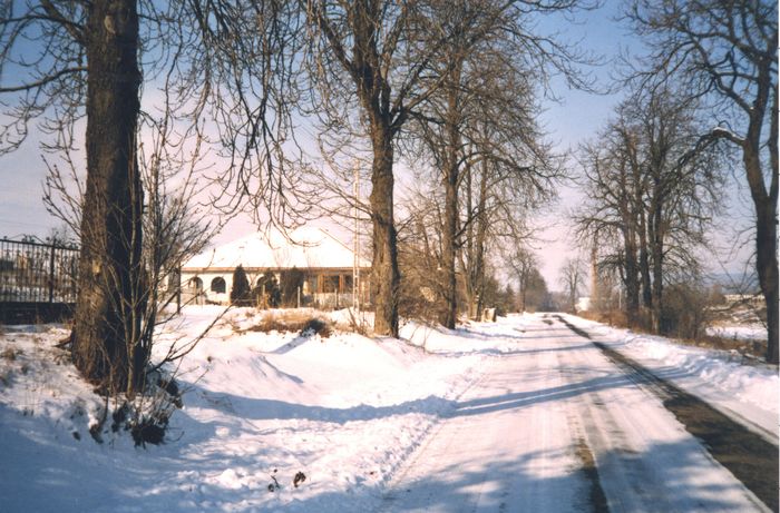 Hazafele (Auf dem Weg nach Hause)