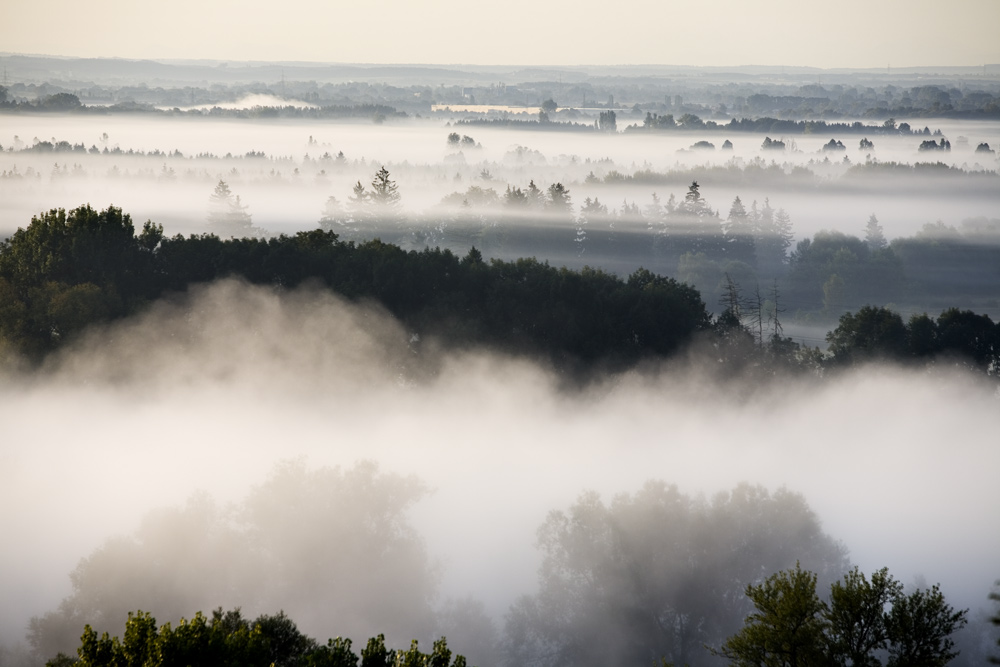 hazy landscape