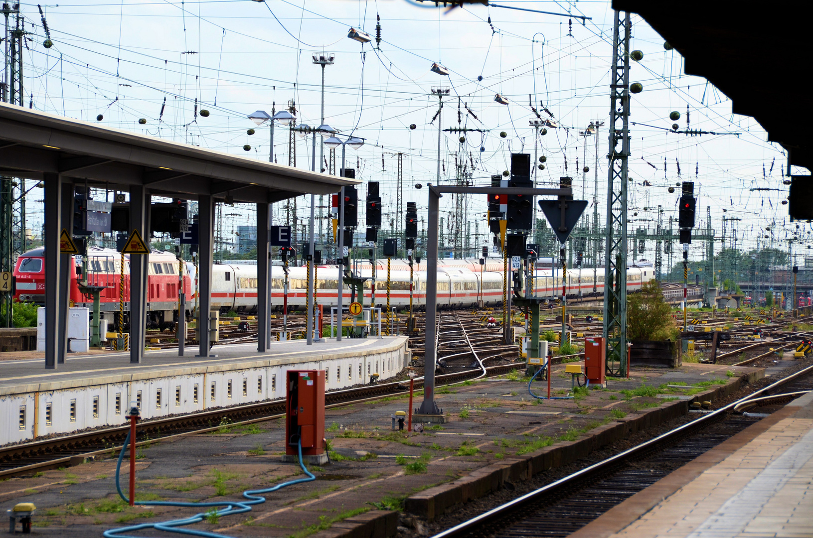 HbF Frankfurt am Main