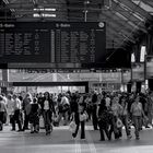 HBF / XV