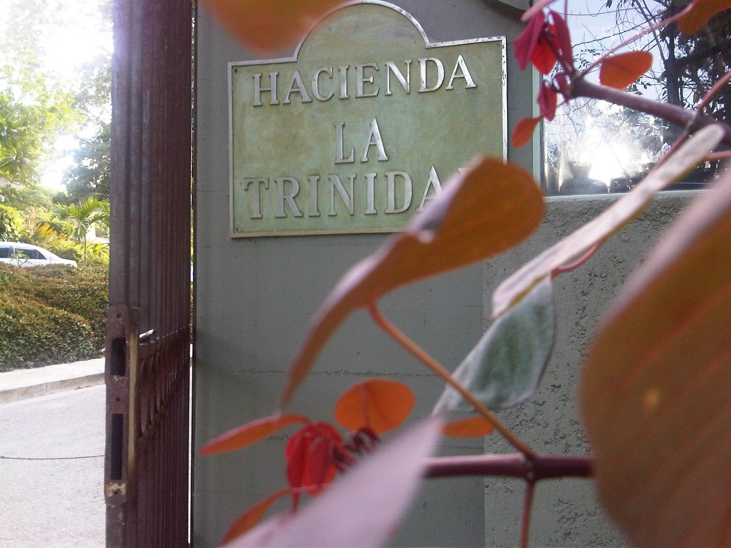 Hcda. La Trinidad - Entrada