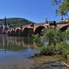 HD Neckarbrücke P20-20-col 7Mai20 +9Fotos