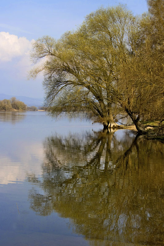 hde_Donau bei Stephansposching