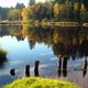 hderbstlichder Moorsee im Allgu1