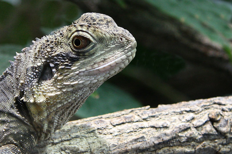 hde_Wasseragame