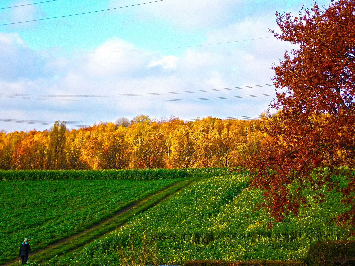 HDR 2. Versuch ;-)