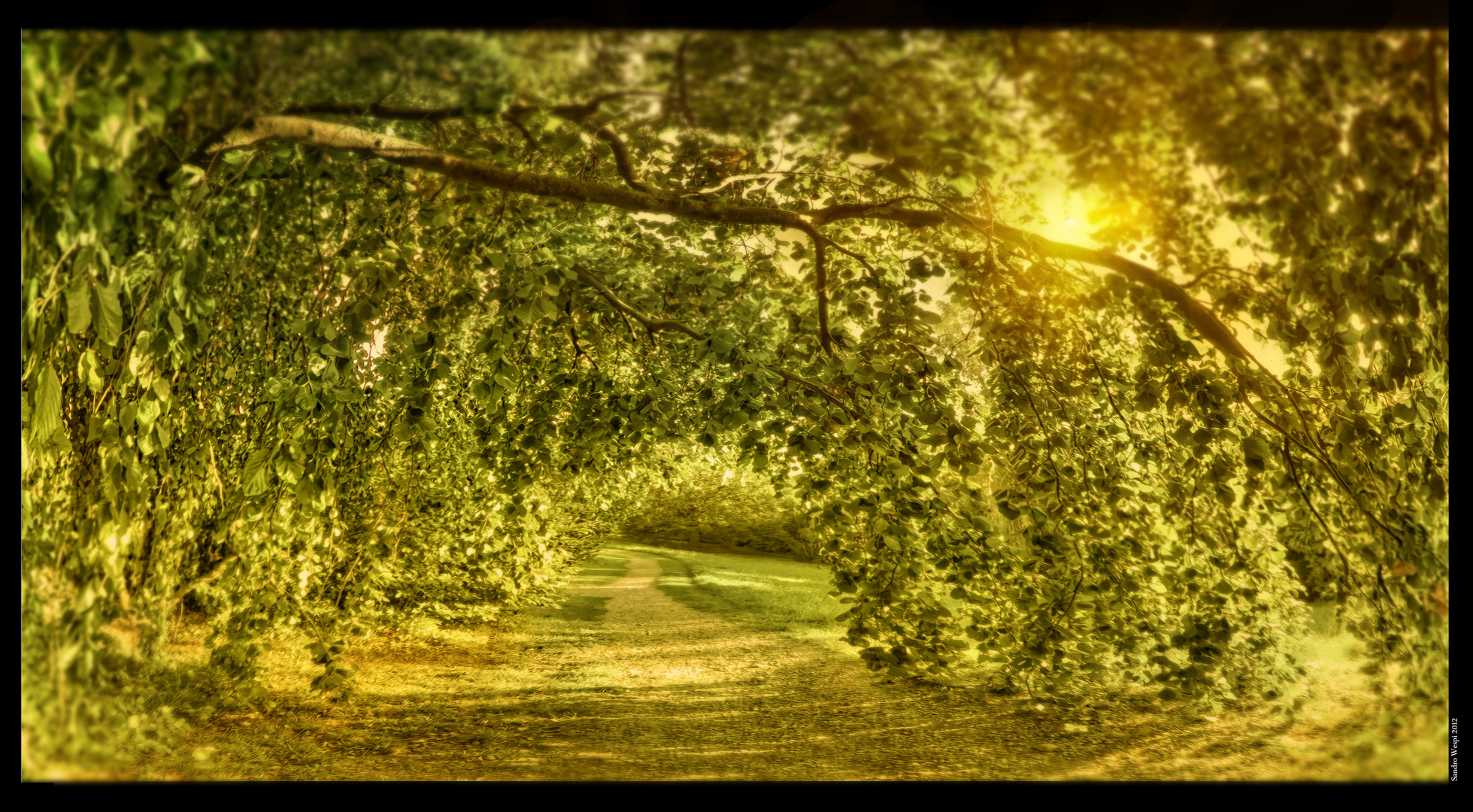 HDR 2012 Museum Rietbergpark Zürich