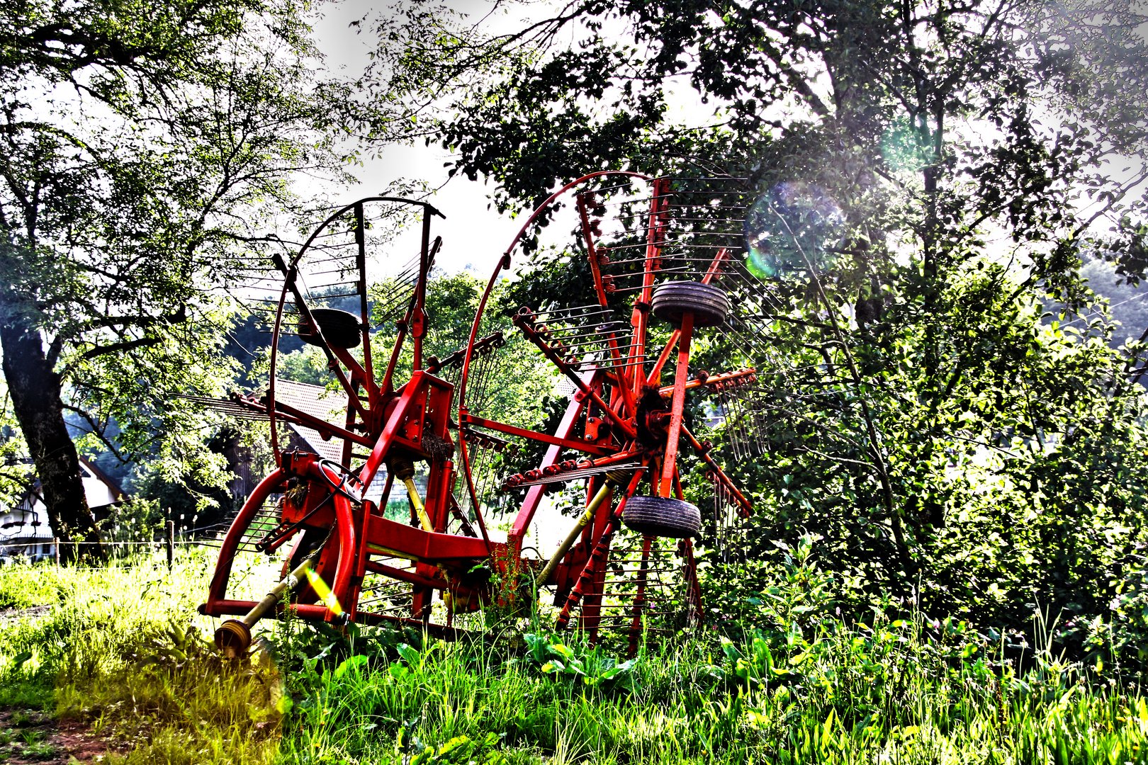 "HDR auf dem Feld"