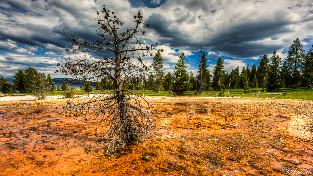 HDR Aufnahme @ Yellowstone NP