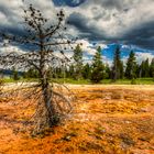 HDR Aufnahme @ Yellowstone NP