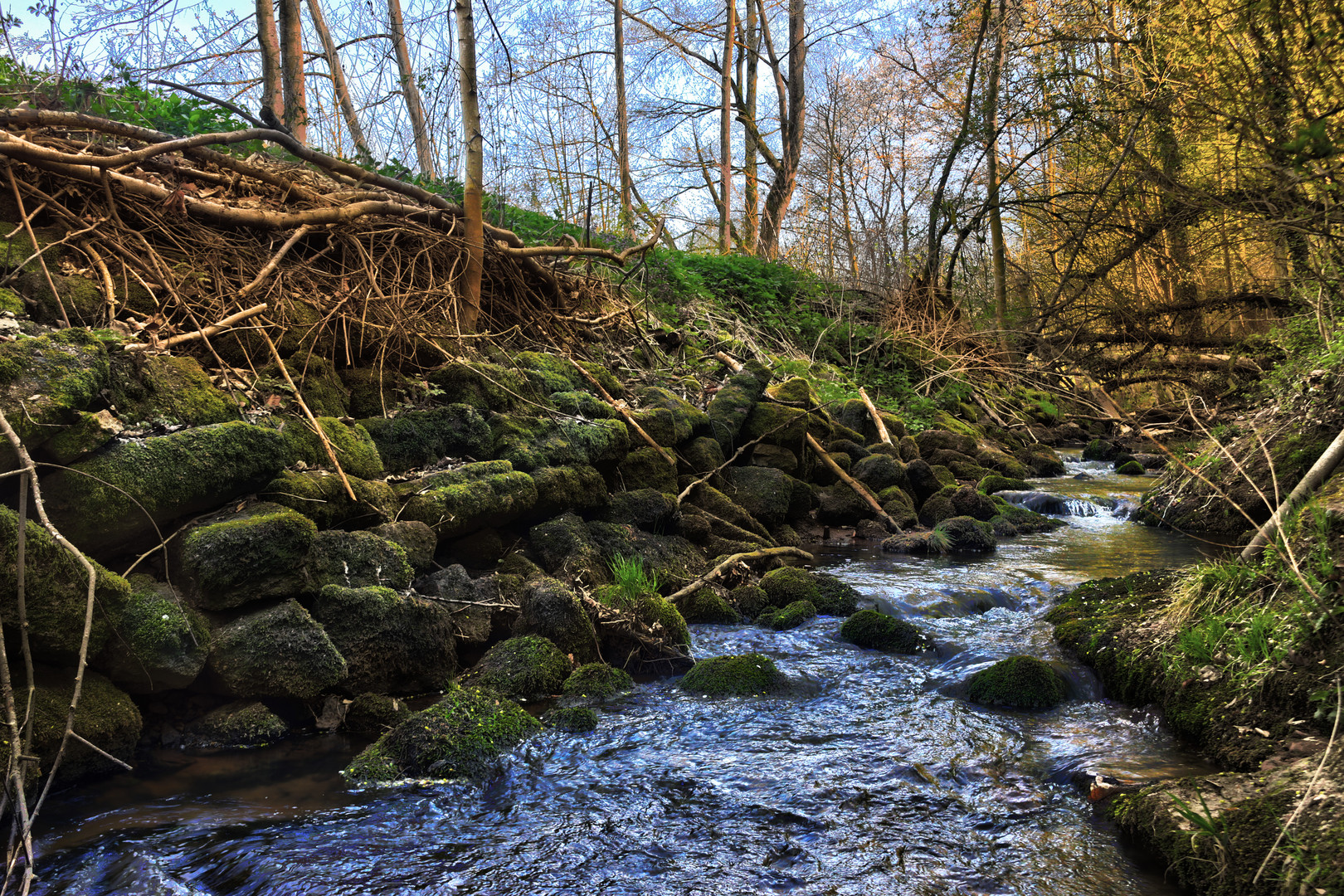 HDR Bach im Wald