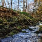 HDR Bach im Wald