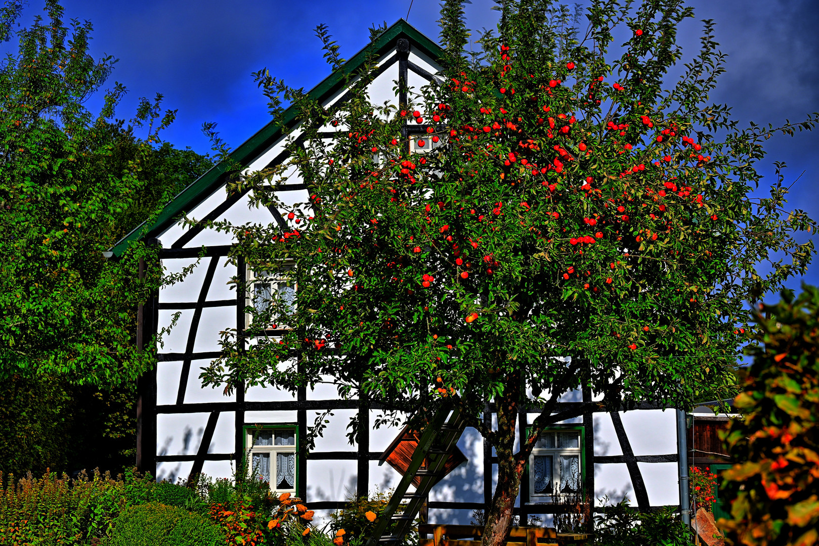 hdr bauernmuseum0D7A4532-E78A-48A2-B4D6-B06E92A5B9D2_3137722F-60F5-4C5D-9FF1-AC5_and_more