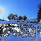 HDR-Bearbeitung: Der letzte Schnee