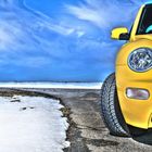 HDR BEETLE