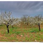 HDR Campagna