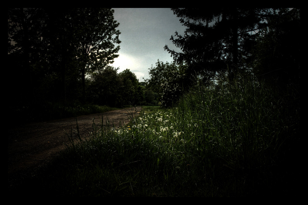 HDR der weg