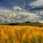 HDR Feld