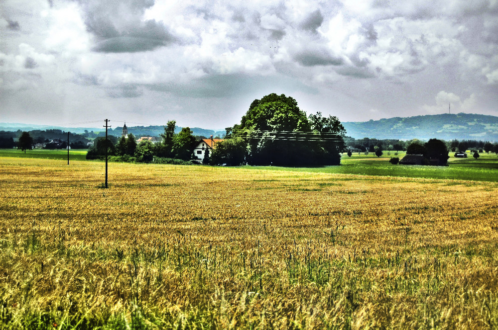 HDR feld