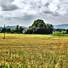 HDR feld