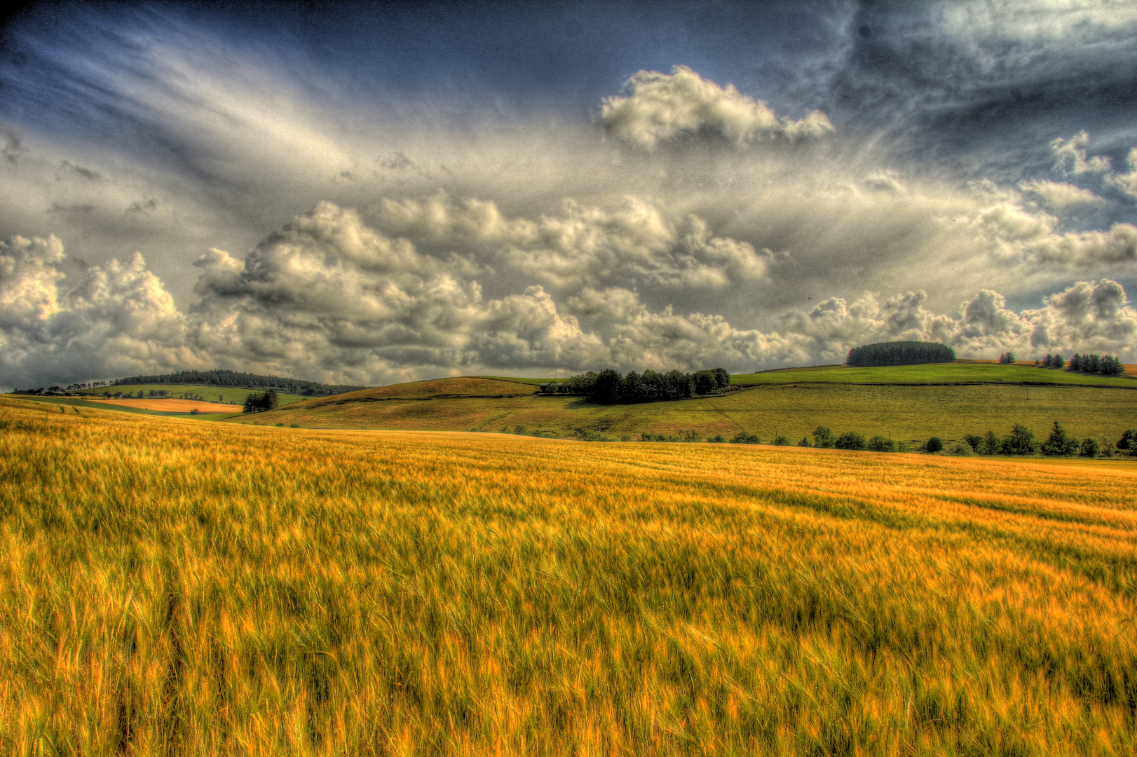 HDR Feld2