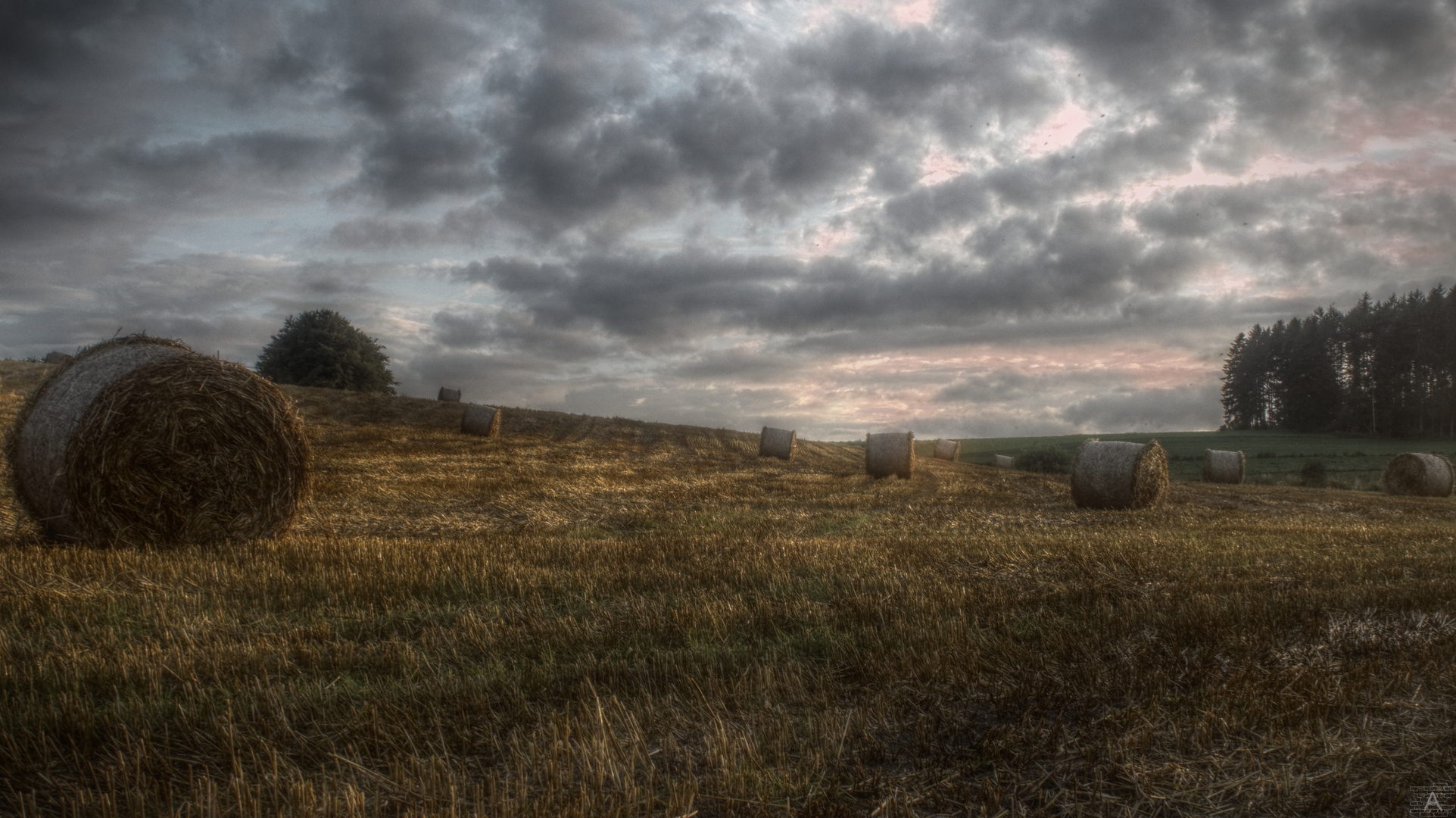 HDR Field