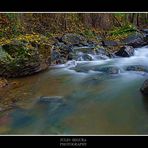 HDR Finales de Otoño