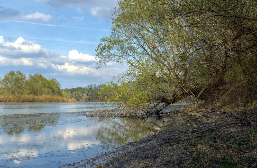 HDR - Fluss Drau - Seitenarm