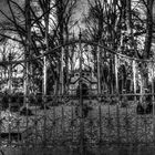 HDR Friedhof im Ruhezustand!