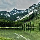 HDR Frillensee Inzell Obb.