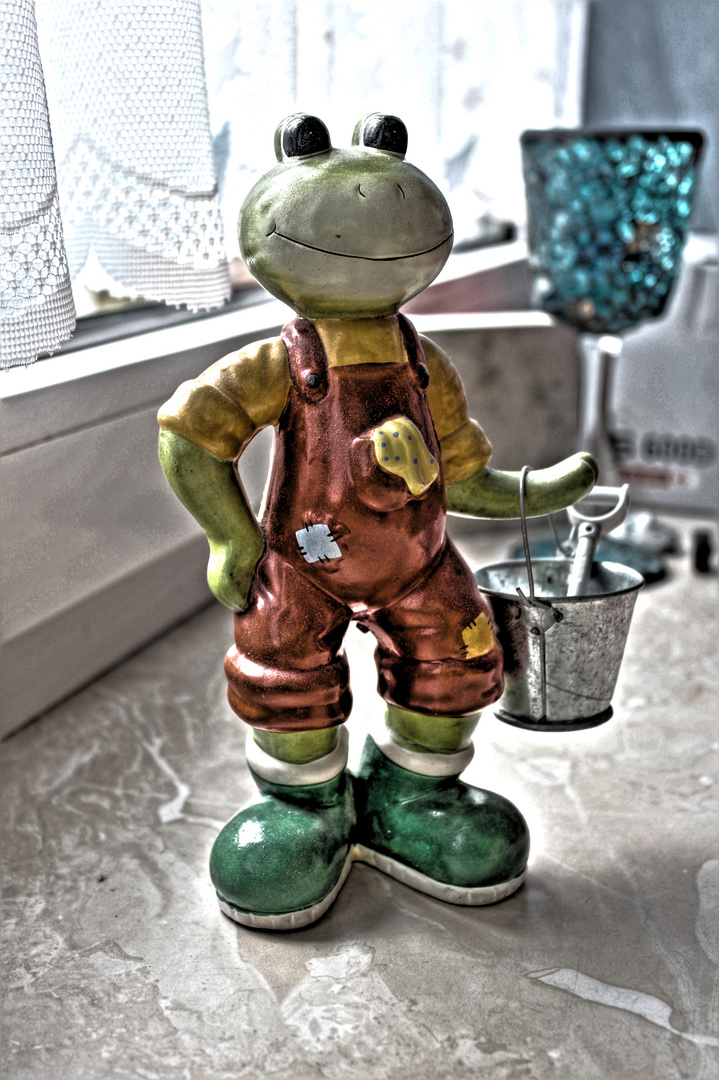 HDR Frosch