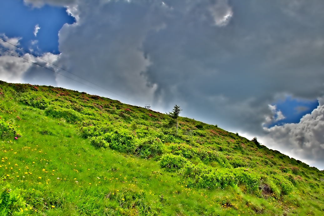 HDR- Geschmacksache