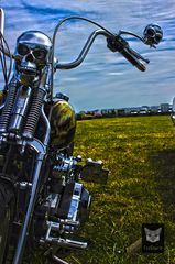 HDR Harley with Skulls