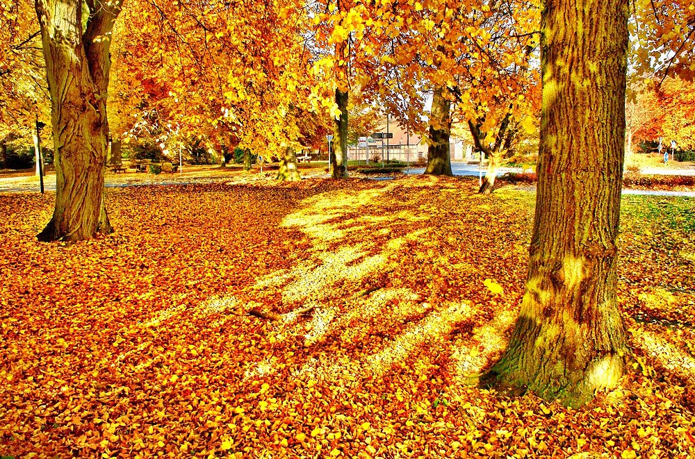 HDR - Herbst
