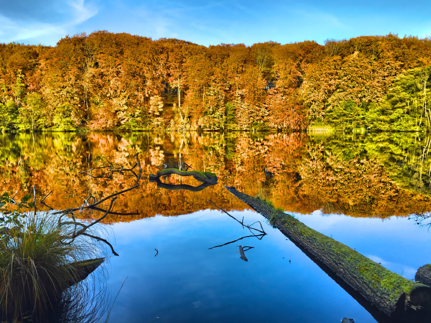 HDR Herbst