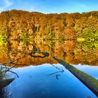 HDR Herbst