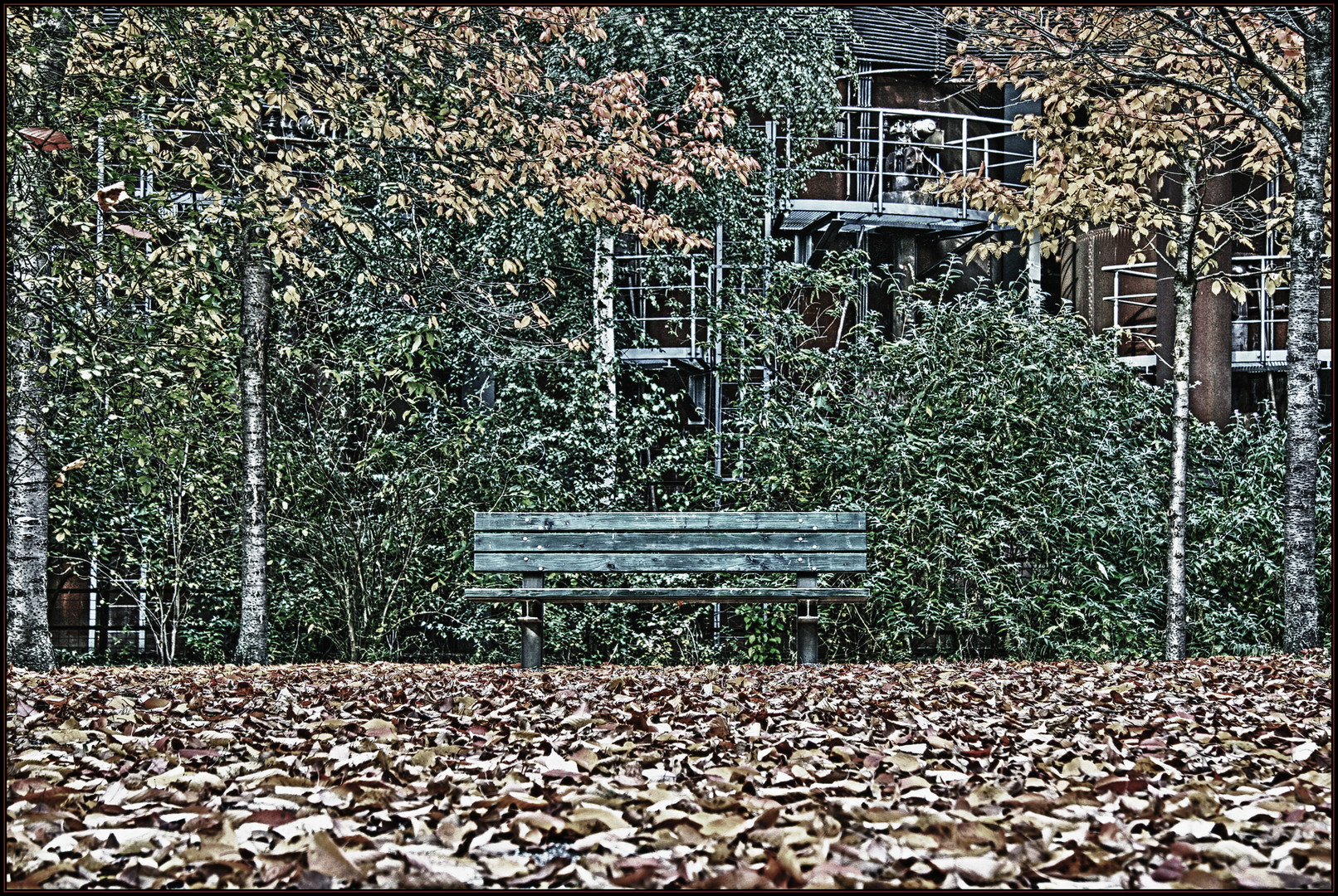 HDR - Herbst Stimmung 02