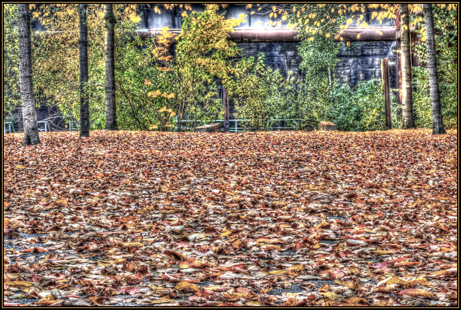 HDR - Herbst Stimmung
