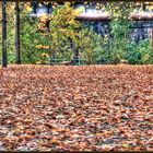 HDR - Herbst Stimmung