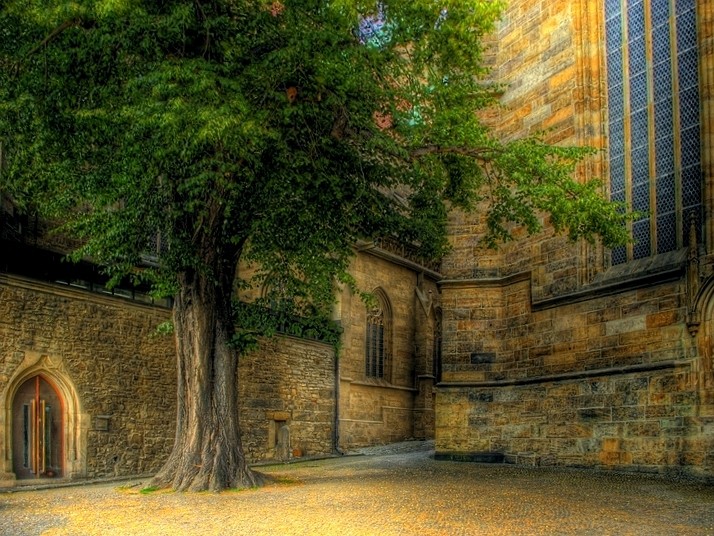 HDR hinter´m Erfurter Dom