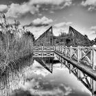 HDR in der Alltäglichkeit - Rosarium in Hattersheim/Main (Alois Nebel Style)